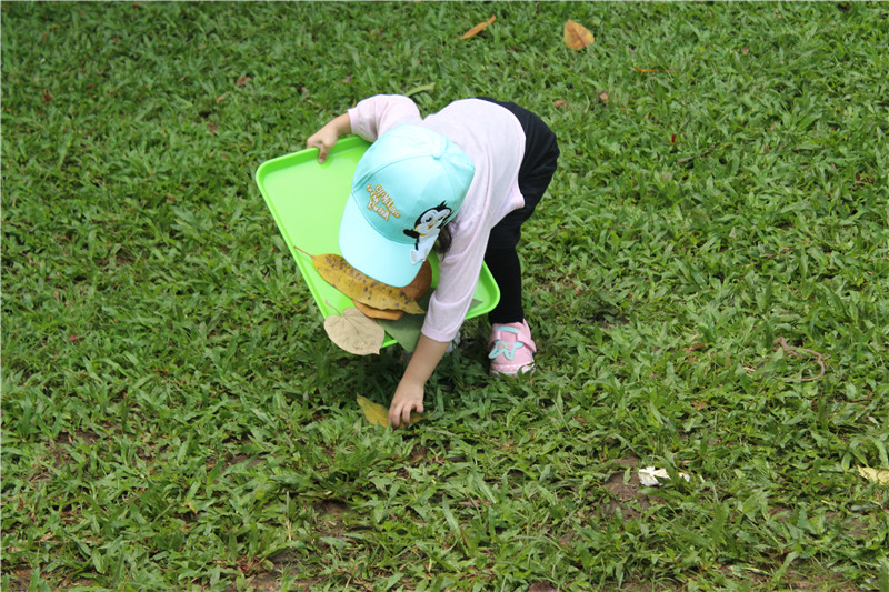 BBunion国际早教厦门外图中心活动花絮:《秋之美》英语户外课 BBunion国际早教厦门外图中心活动花絮:《秋之美》英语户外课