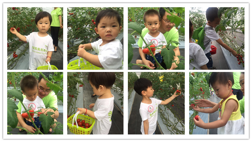 BBunion国际早教7月上旬活动回顾 BBunion国际早教7月上旬活动回顾