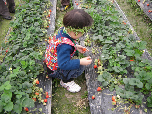 走出去!亲吻大自然
